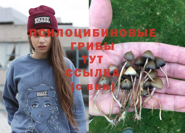 тгк Лиски